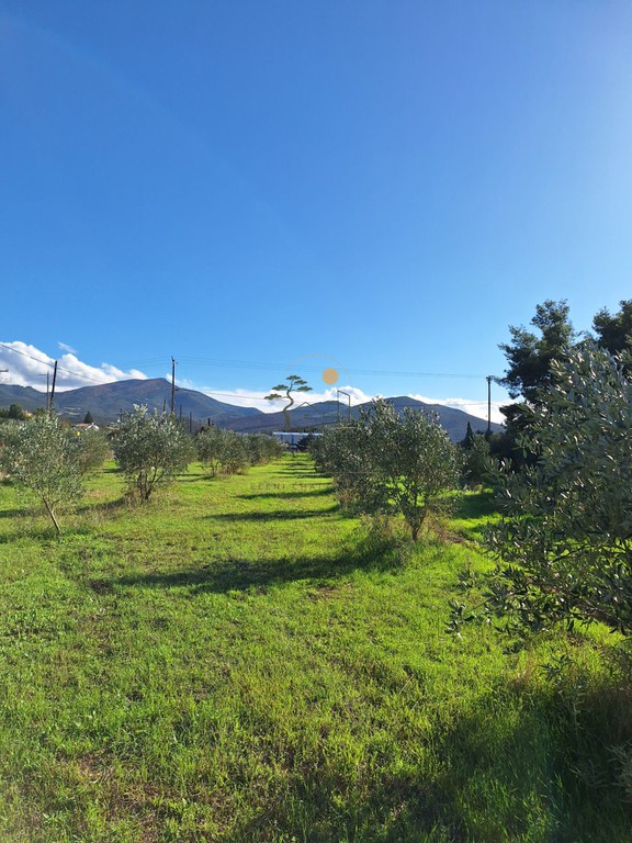 Αγροτεμάχια 2.900 τ.μ. πρός πώληση, Θεσσαλονίκη - Περιφ/Κοί Δήμοι, Θέρμη