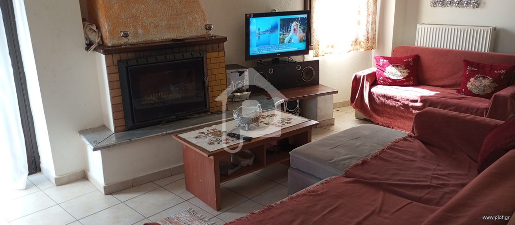 Διαμέρισμα 100 τ.μ. πρός ενοικίαση, Βοιωτία, Δίστομο