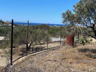 Αγροτεμάχια 4.048 τ.μ. για πώληση, Ν. Λασιθίου, Ιεράπετρα-thumb-6