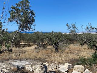 Αγροτεμάχια 4.048 τ.μ. για πώληση, Ν. Λασιθίου, Ιεράπετρα-thumb-8