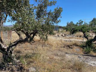 Αγροτεμάχια 4.048 τ.μ. για πώληση, Ν. Λασιθίου, Ιεράπετρα-thumb-11