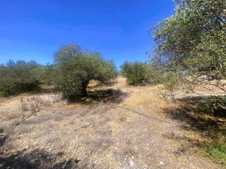 Αγροτεμάχια 4.048 τ.μ. για πώληση, Ν. Λασιθίου, Ιεράπετρα-thumb-22