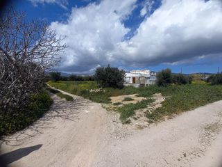 Αγροτεμάχια 3.100 τ.μ. για πώληση