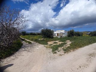 Αγροτεμάχια 3.100 τ.μ. για πώληση, Ν. Λασιθίου, Ιεράπετρα-thumb-1