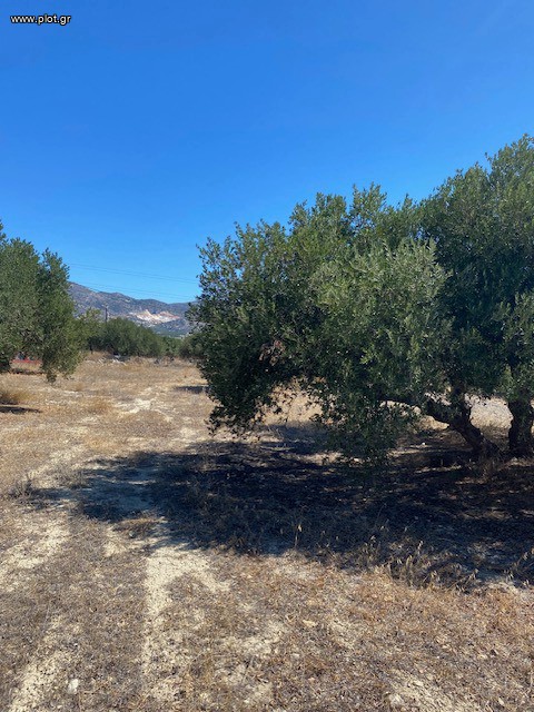 Οικόπεδο 3.740 τ.μ. πρός πώληση, Ν. Λασιθίου, Ιεράπετρα