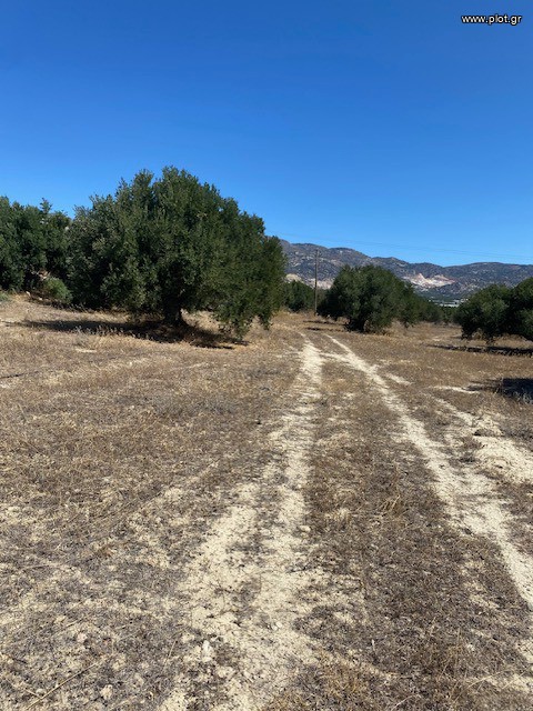 Οικόπεδο 3.740 τ.μ. πρός πώληση, Ν. Λασιθίου, Ιεράπετρα