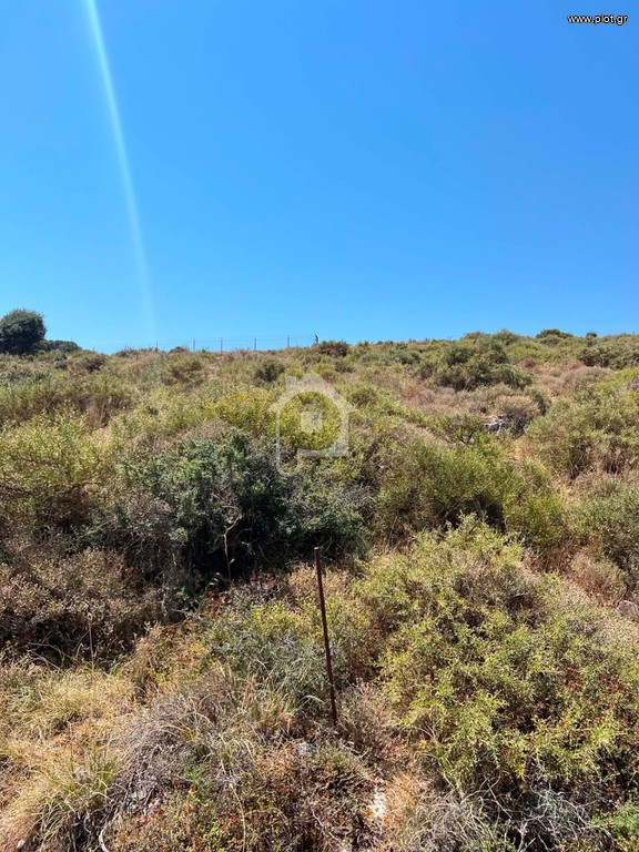 Αγροτεμάχια 4.500 τ.μ. προς πώληση, Αρχοντικό Αρκαλοχωρίου