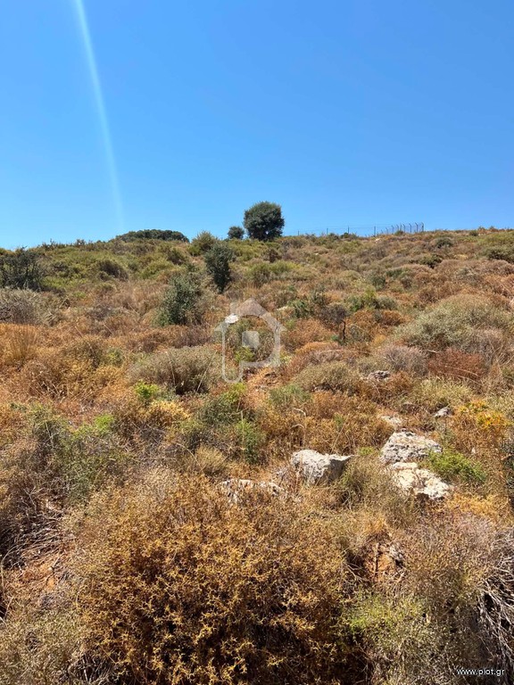 Αγροτεμάχια 4.500 τ.μ. προς πώληση, Αρχοντικό Αρκαλοχωρίου
