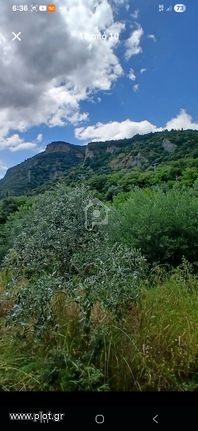 Οικόπεδο 7.700 τ.μ. για πώληση, Λακωνία, Μυστράς