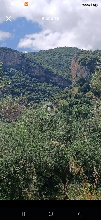 Οικόπεδο 7.700 τ.μ. προς πώληση, Μυστράς Λακωνίας