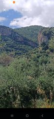 Οικόπεδο 7.700 τ.μ. για πώληση, Λακωνία, Μυστράς-thumb-1