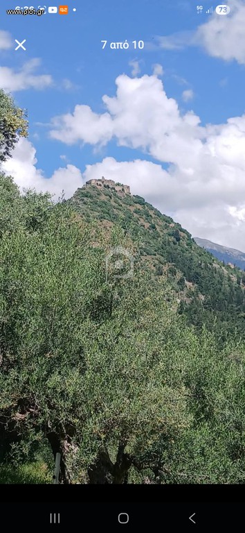 Οικόπεδο 7.700 τ.μ. προς πώληση, Μυστράς Λακωνίας