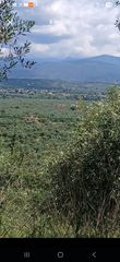 Οικόπεδο 7.700 τ.μ. για πώληση, Λακωνία, Μυστράς-thumb-5