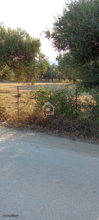 Οικόπεδο 5.490 τ.μ. πρός πώληση, Αιτωλοακαρνανία, Αλυζία