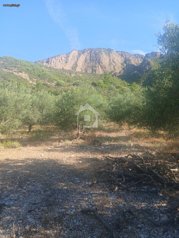 Αγροτεμάχια 12.000 τ.μ. προς πώληση, Άγιος Ιωάννης Αιγίου