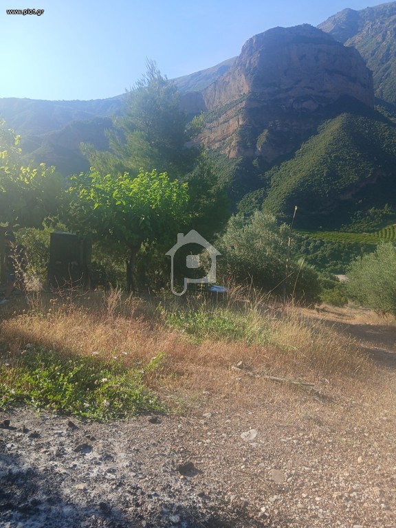 Αγροτεμάχια 12.000 τ.μ. προς πώληση, Άγιος Ιωάννης Αιγίου