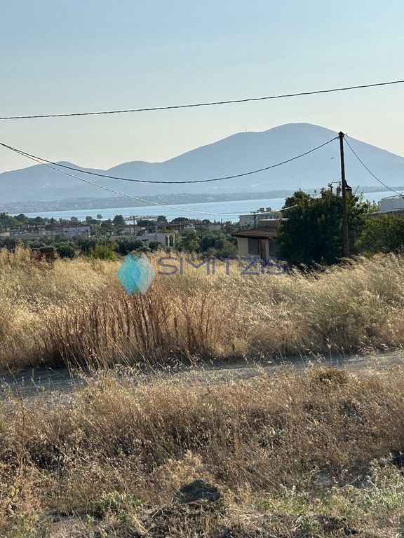Οικόπεδο 404 τ.μ. πρός πώληση, Εύβοια, Νέα Αρτάκη