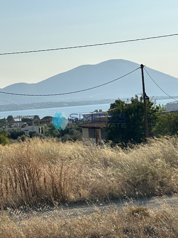 Οικόπεδο 404 τ.μ. πρός πώληση, Εύβοια, Νέα Αρτάκη