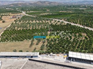 Οικόπεδο 15.472,88 τ.μ. πρός πώληση, Αργολίδα, Νέα Τίρυνθα-thumb-4
