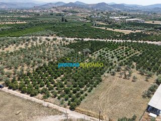 Οικόπεδο 15.472,88 τ.μ. πρός πώληση, Αργολίδα, Νέα Τίρυνθα-thumb-6
