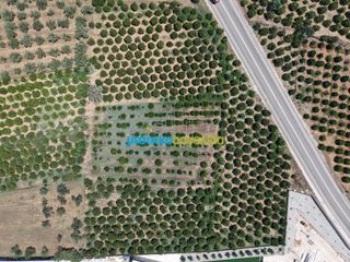 Οικόπεδο 15.472,88 τ.μ. πρός πώληση, Αργολίδα, Νέα Τίρυνθα-thumb-11