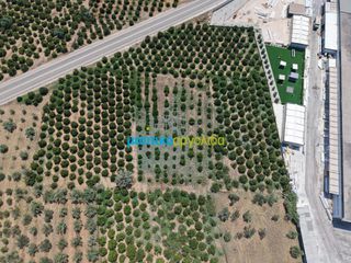 Οικόπεδο 15.472,88 τ.μ. πρός πώληση, Αργολίδα, Νέα Τίρυνθα-thumb-16