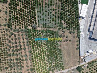 Οικόπεδο 15.472,88 τ.μ. πρός πώληση, Αργολίδα, Νέα Τίρυνθα-thumb-15