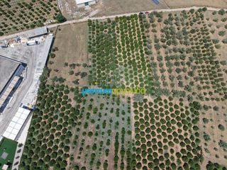 Οικόπεδο 15.472,88 τ.μ. πρός πώληση, Αργολίδα, Νέα Τίρυνθα-thumb-12