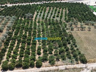 Οικόπεδο 15.472,88 τ.μ. πρός πώληση, Αργολίδα, Νέα Τίρυνθα-thumb-17