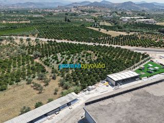 Οικόπεδο 15.472,88 τ.μ. πρός πώληση, Αργολίδα, Νέα Τίρυνθα-thumb-5