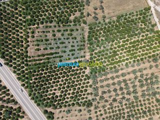 Οικόπεδο 15.472,88 τ.μ. πρός πώληση, Αργολίδα, Νέα Τίρυνθα-thumb-13