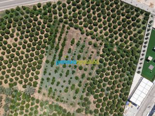 Οικόπεδο 15.472,88 τ.μ. πρός πώληση, Αργολίδα, Νέα Τίρυνθα-thumb-8