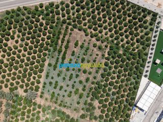 Οικόπεδο 15.472,88 τ.μ. πρός πώληση, Αργολίδα, Νέα Τίρυνθα-thumb-9