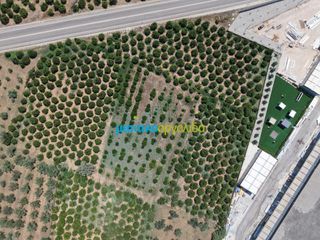 Οικόπεδο 15.472,88 τ.μ. πρός πώληση, Αργολίδα, Νέα Τίρυνθα-thumb-10