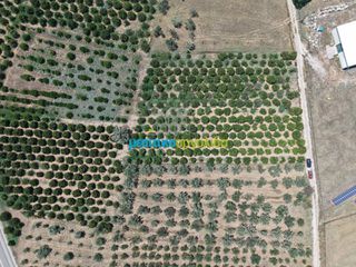 Οικόπεδο 15.472,88 τ.μ. πρός πώληση, Αργολίδα, Νέα Τίρυνθα-thumb-14