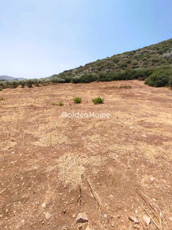 Αγροτεμάχια 4.060 τ.μ. προς πώληση, Λαγονήσι