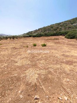 Αγροτεμάχια 4.060 τ.μ. προς πώληση