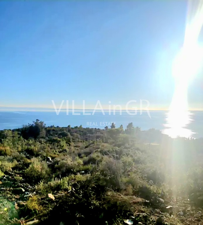 Αγροτεμάχια 6.400 τ.μ. πρός πώληση, Χαλκιδική, Ορμύλια
