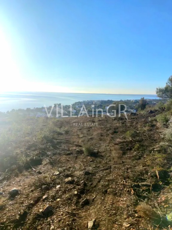 Αγροτεμάχια 6.400 τ.μ. πρός πώληση, Χαλκιδική, Ορμύλια
