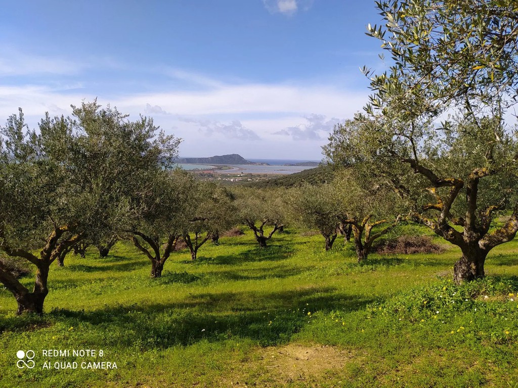 Αγροτεμάχια 20.000 τ.μ. πρός πώληση, Μεσσηνία, Πύλος