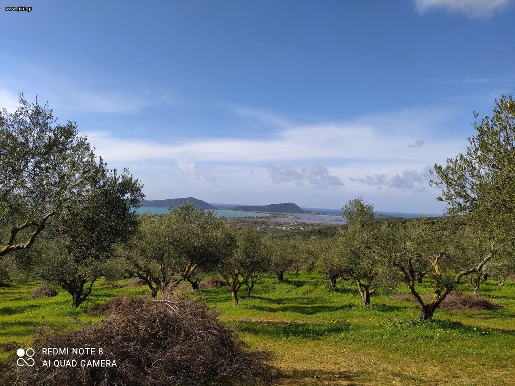 Αγροτεμάχια 20.000 τ.μ. πρός πώληση, Μεσσηνία, Πύλος
