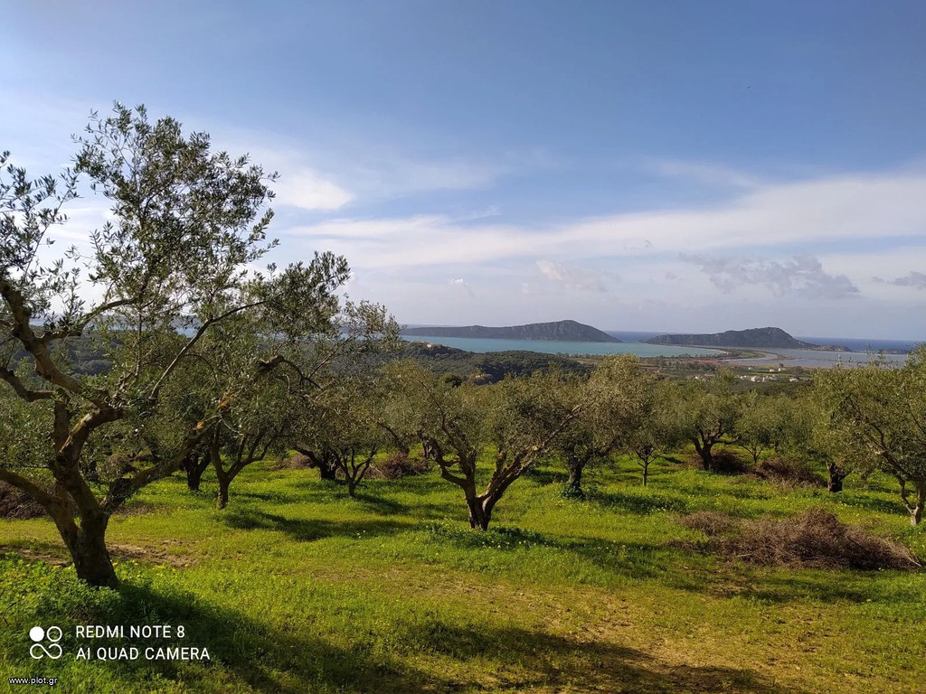 Αγροτεμάχια 20.000 τ.μ. πρός πώληση, Μεσσηνία, Πύλος