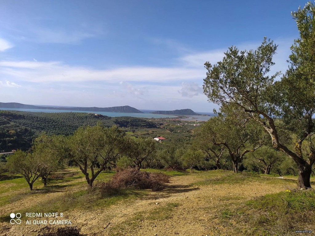 Αγροτεμάχια 20.000 τ.μ. πρός πώληση, Μεσσηνία, Πύλος