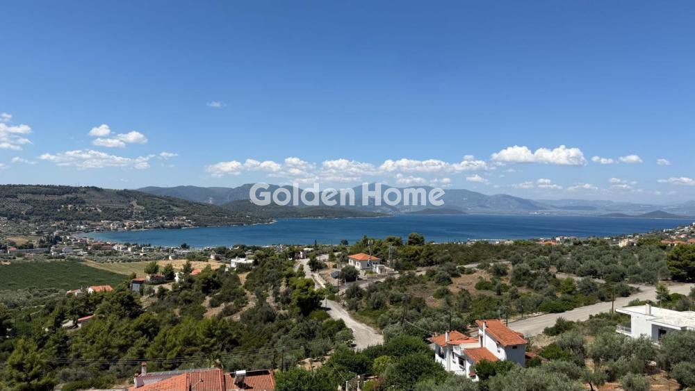 Μονοκατοικία 160 τ.μ. προς ενοικίαση, Θεολόγος Μαλεσίνας