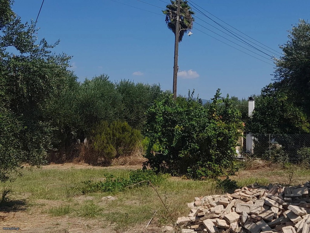 Οικόπεδο 2.550 τ.μ. πρός πώληση, Μεσσηνία, Κορώνη
