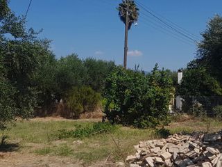 Οικόπεδο 2.550 τ.μ. για πώληση