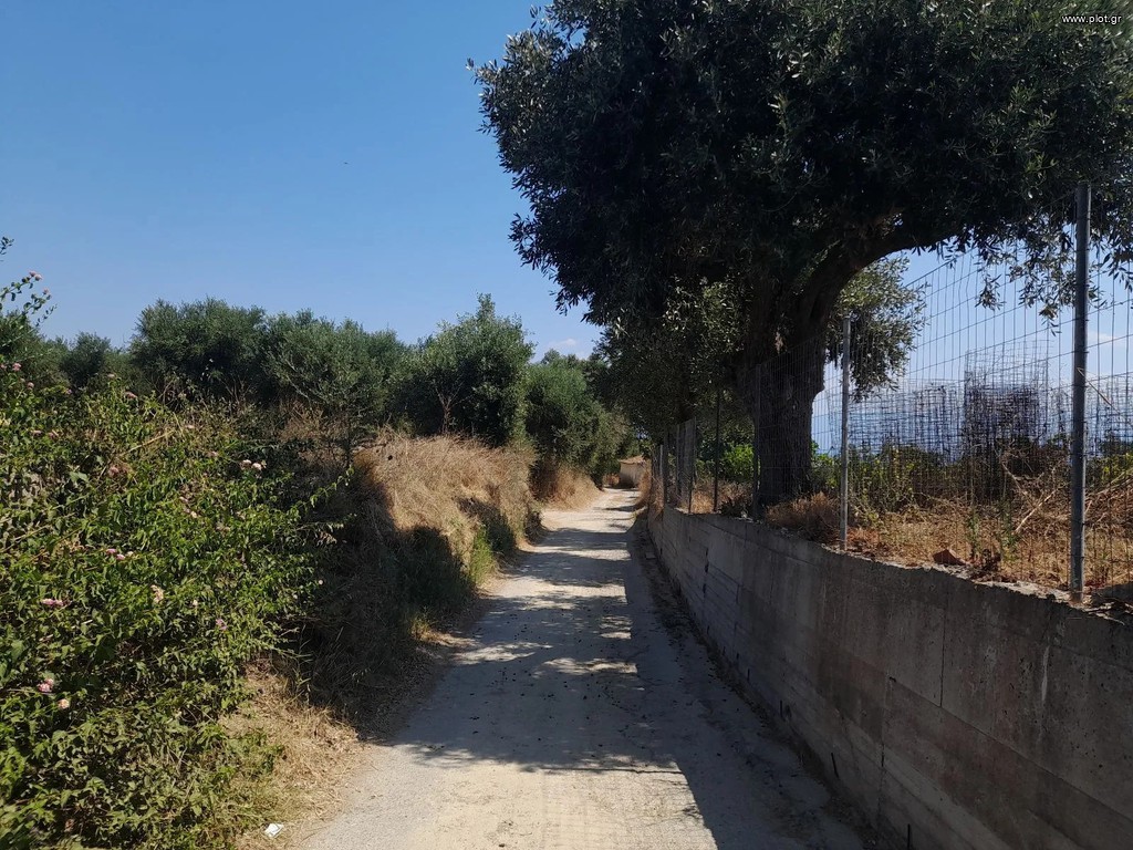 Οικόπεδο 2.550 τ.μ. πρός πώληση, Μεσσηνία, Κορώνη