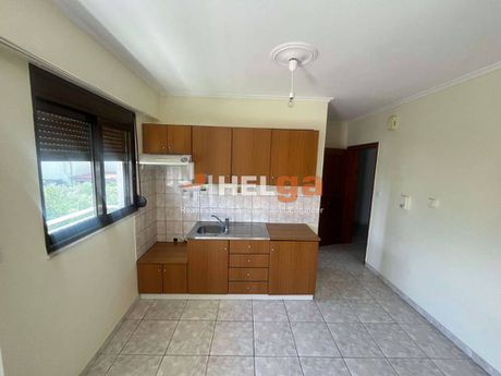 Studio 33 sqm for rent