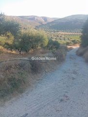 Αγροτεμάχια 3.500 τ.μ. για πώληση