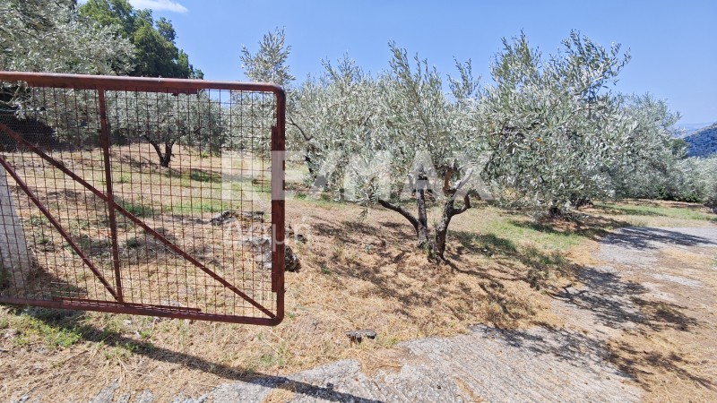 Μονοκατοικία 41 τ.μ. προς πώληση, Μαγνησία, Πορταριά
